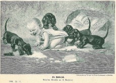 Picture 1
