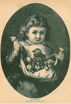 Picture 1