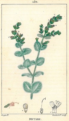 Picture 1