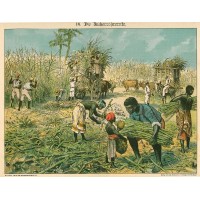 Picture 1
