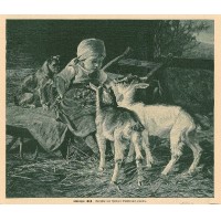Picture 1