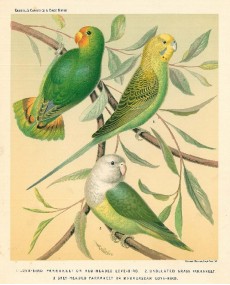 Picture 1