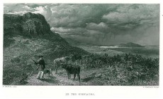 Picture 1