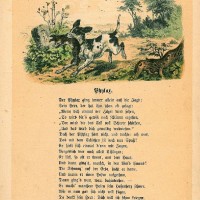 Stadelmann, Hugo. Picture 1