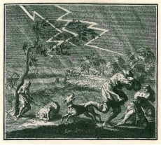 Picture 1