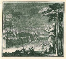 Picture 1