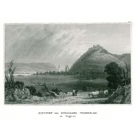 Picture 1