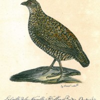 Picture 1