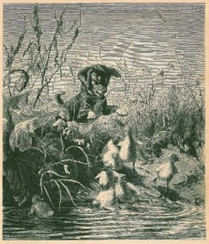 Picture 1