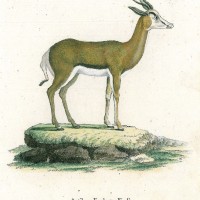 Picture 1
