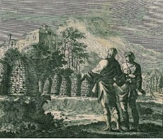 Picture 1