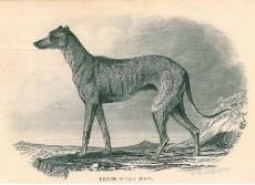 Picture 1