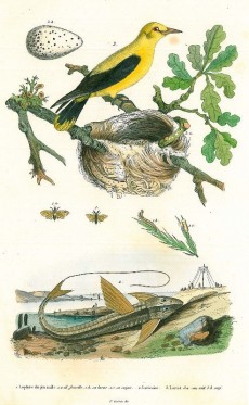 Picture 1