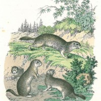 Picture 1