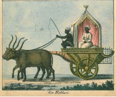 Picture 1