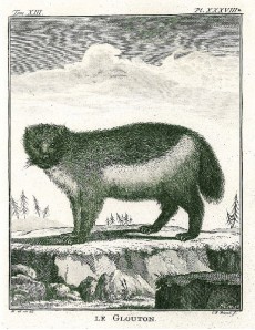 Picture 1