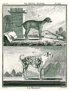 Picture 1