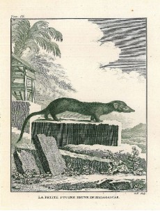 Picture 1