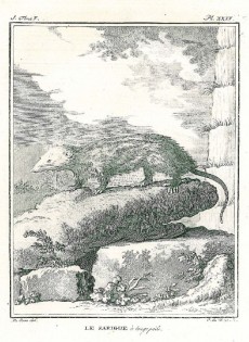 Picture 1