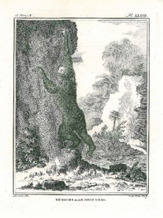 Picture 1