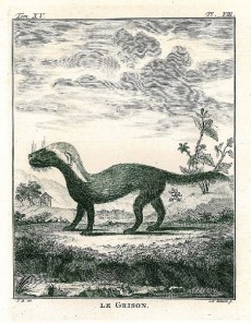 Picture 1
