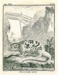Picture 1