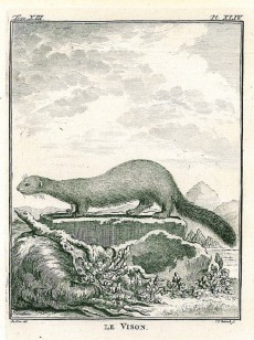 Picture 1