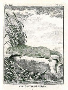 Picture 1