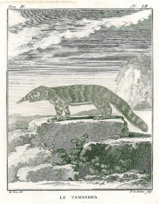 Picture 1