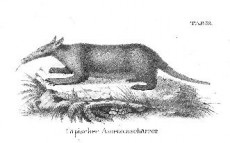 Picture 1