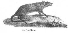 Picture 1
