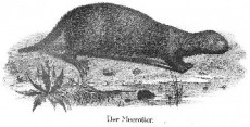 Picture 1
