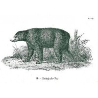 Picture 1