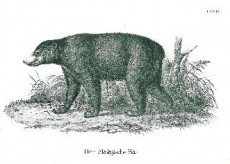 Picture 1