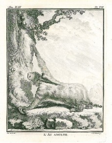 Picture 1