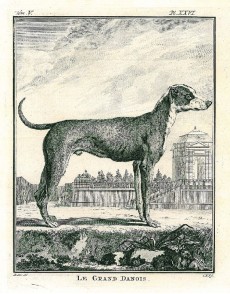Picture 1