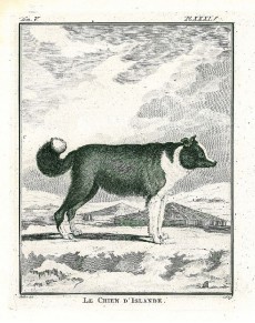 Picture 1