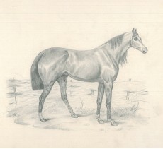Picture 1