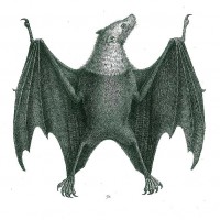 Picture 1