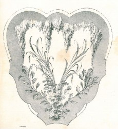 Picture 1