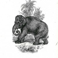 Picture 1