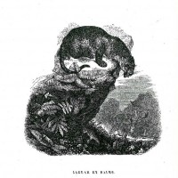 Picture 1