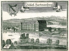 Picture 1