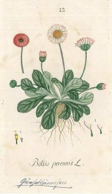 Picture 1