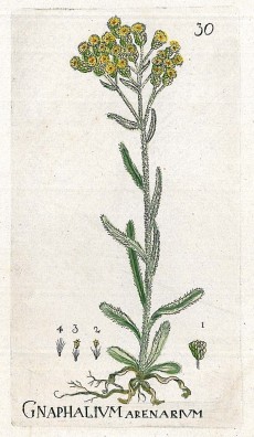 Picture 1