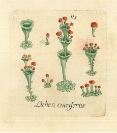 Picture 1