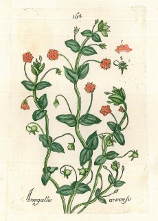 Picture 1