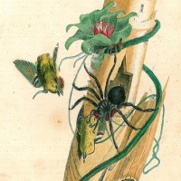 Picture 1