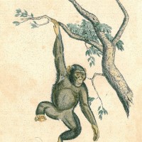 Picture 1