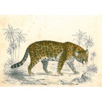 Picture 1